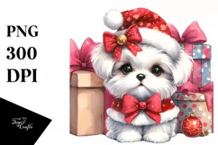 Maltese in Winter, Transparent PNG Product Image 1