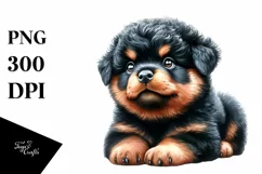 Expressive Baby Rottweiler, Transparent PNG Product Image 1