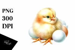 Cute Baby Chicken PNG Product Image 3