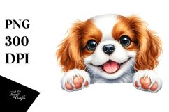Cute Baby Cavalier Spaniel | Sublimation | Clipart Product Image 3