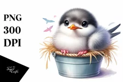 Colorful Baby Arctic Tern in Bucket | Clipart Product Image 1