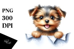 Crazy Looking Small Baby Yorkipoo | Sublimation | Clipart Product Image 1