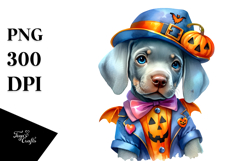 Cute Baby Weimaraner PNG Product Image 1