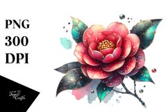 Glossy Camellia Clipart Product Image 3