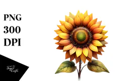 Sunflower with Watercolor Splash, Summer PNG Product Image 1