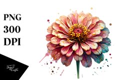 Watercolor Zinnia Clipart Product Image 3