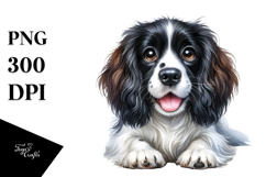 Cute English Springer Spaniel Dog PNG Product Image 1