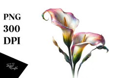 Daisy with Watercolor Splash, Transparent PNG Product Image 1