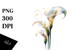 -Like Calla Lily Painting, High-Res PNG Product Image 1
