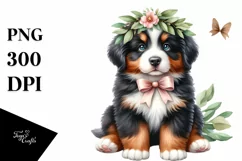Cute Baby Bernese Mountain Dog Sitting Clipart Product Image 1