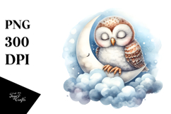Sleeping Baby Owl Moon PNG Product Image 1