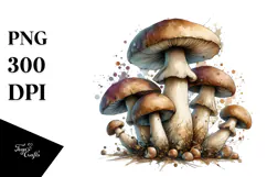 Detailed Mushroom, Transparent PNG Product Image 1