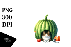 Fruit Rainbow Cat House Illustration Product Image 1