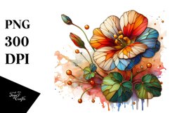 Abstract Wooden Small Stained Nasturtium Clipart Product Image 3