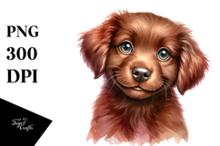 Baby Chesapeake Bay Retriever PNG Product Image 1