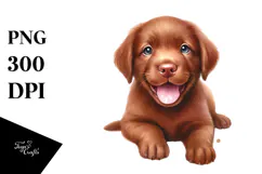 Chesapeake Bay Retriever PNG Product Image 1