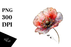 Poppy Watercolor Splash PNG Product Image 1