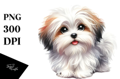 Cute Havanese PNG Product Image 1