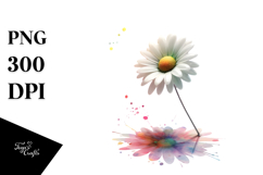 Daisy, Watercolor Splash PNG Product Image 1