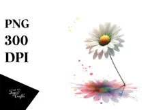 Daisy, Watercolor Splash PNG Product Image 1