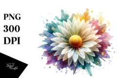 Daisy, Transparent PNG Product Image 1