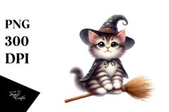 Wimsical Kitten on Broom Clipart Product Image 1