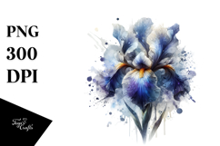 Elegant Iris Illustration, PNG Product Image 1