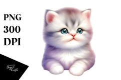 Cute Baby Cat with Goofy Smile, Transparent PNG Product Image 1