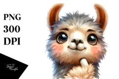 Funny Baby Llama Portrait PNG Product Image 1