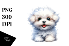 Baby Bichon Frise Watercolor PNG Product Image 1