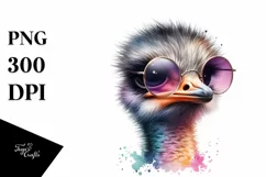 Vibrant Baby Rhea with Sunglasses | Sublimation Clipart Product Image 3