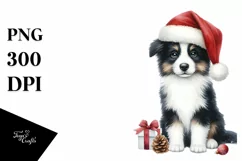 a Cute Sitting Border Collie with Santa Hat PNG Product Image 1