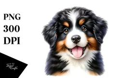Baby Bernese Mountain Dog PNG Product Image 1