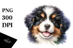 Baby Bernese Mountain Dog PNG Product Image 1