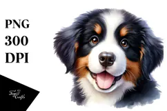 Baby Bernese Mountain Dog PNG Product Image 1