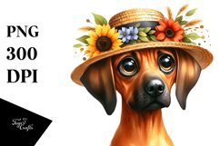 Rhodesian Ridgeback from Behind | Clipart Product Image 3
