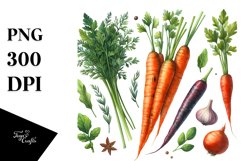 Watercolor Carrot Clipart Product Image 3
