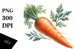 Watercolor Carrot Clipart Product Image 3