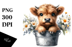 Cute Baby Highland Cow PNG Product Image 1