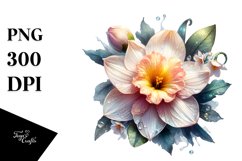 Glossy Watercolor Narcissus Clipart Product Image 1