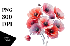 Poppy Watercolor Splash PNG Product Image 1