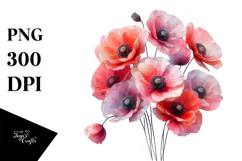 Poppy Watercolor Splash PNG Product Image 1