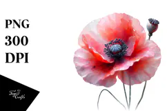 Poppy Watercolor Splash PNG Product Image 1