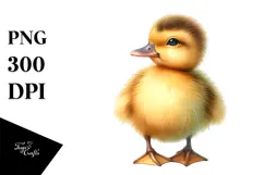 Digital Watercolor Baby Duck, High-Res PNG Product Image 1