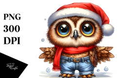 Owl Santa Suit Clipart Product Image 1