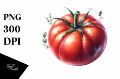 Watercolor Tomato Clipart Product Image 1