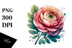 Wooden Stained Ranunculus Watercolor | Clipart Product Image 3