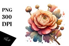 Wooden Stained Ranunculus Watercolor | Clipart Product Image 1