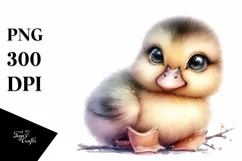 Baby Duck with Big Eyes, Transparent PNG Product Image 3