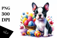 Cute Colorful Boston Terrier | Sublimation | Clipart Product Image 1